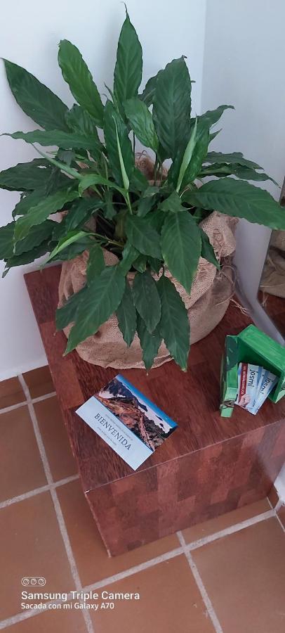 Brenas Garden C9 Appartamento Breña Baja Esterno foto